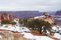 Canyonlands26012010 (30)